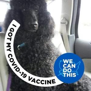 Meet your Posher, Steve